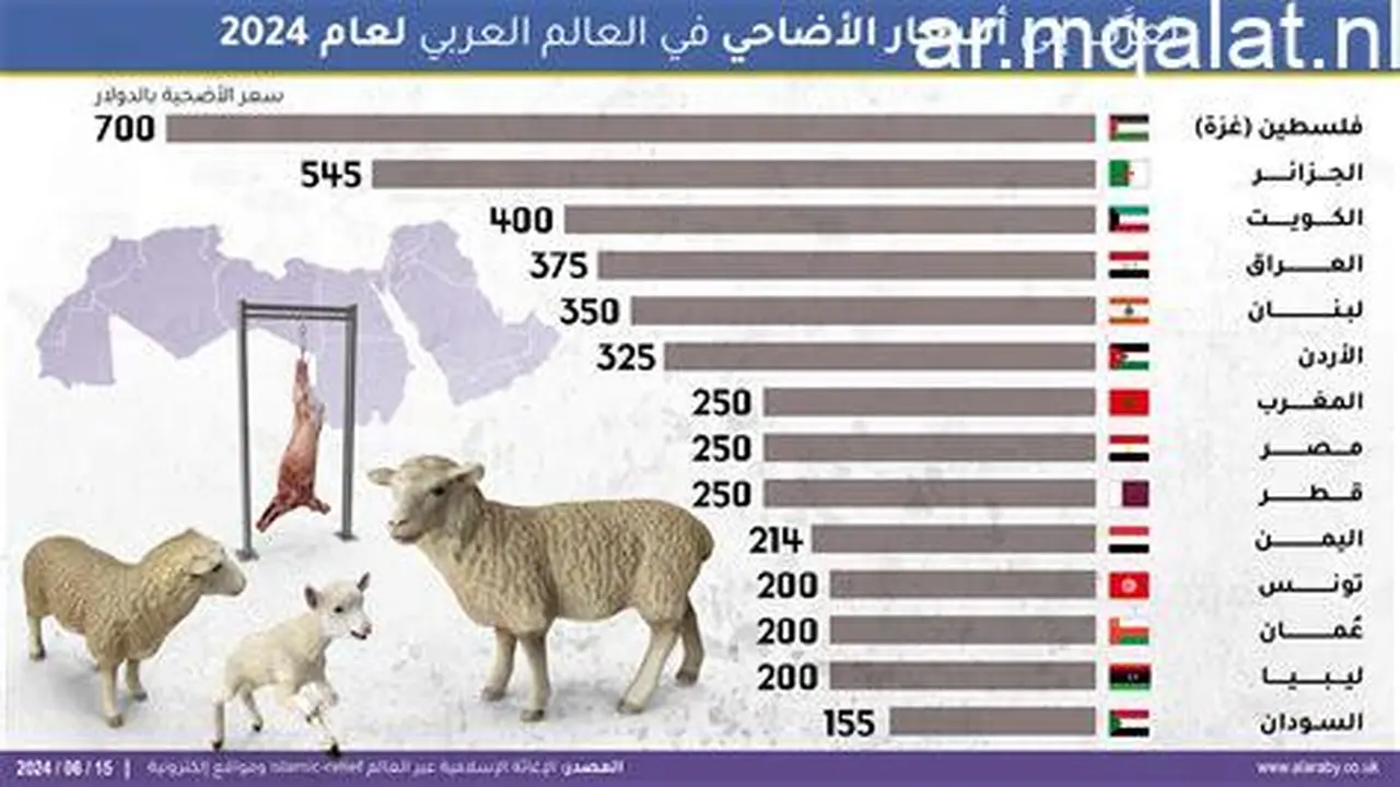 أسعار الأضاحي الحية تتفاوت في الأسواق والبقري والبرقي يتصدران القائمة
